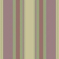 Stripes pattern . Striped background. Stripe seamless texture fabric. vector