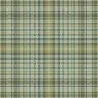 Tartan plaid pattern seamless. Print fabric texture. Check background. vector