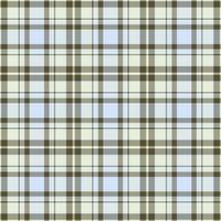 Plaid seamless pattern. background of textile ornament. Flat fabric design. vector