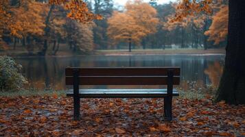 Empty bench standing on path covered with fallen leaves in autumn forest photo