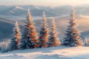 Winter Wonderland Landscape with Snow-Covered Trees and Mountain View at Sunrise photo