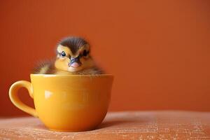 Adorable Duckling in a Yellow Tea Cup - Springtime, Animals, Cute Stock Photo for Print, Card, Poster