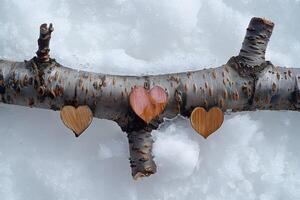Nature-Inspired Heart Carvings on Tree Branch in Snowy Winter Wonderland - Rustic Love Decor for Cards or Posters photo