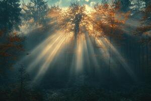Sunrays shining through foggy forest in autumn photo