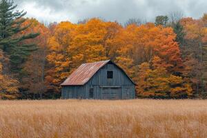 Old barn standing in front of forest with vibrant colors during autumn photo