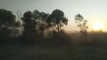 Traveling by train. View from the window. Dawn and fog. video