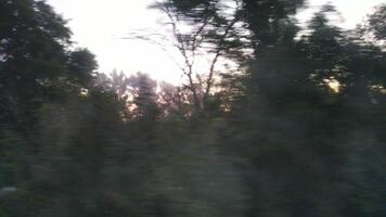 Traveling by train. View from the window onto nature. Dawn and fog. video