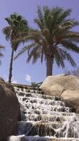 Elegant Steps with an Artificial Fountain Flowing Beneath Palm Trees video