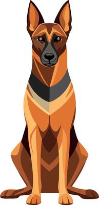 A brown and black dog is sitting on a white background