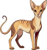 A cat with a long tail and a striped body stands in front of a white background vector