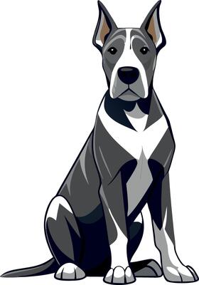 A dog is sitting on a white background