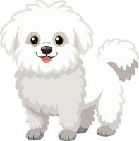 A white dog with a fluffy coat is standing on a white background vector