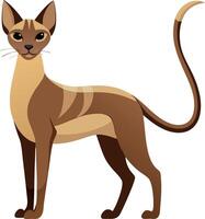 A cat with a long tail stands on a white background vector