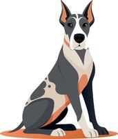 A large dog with a black and white coat sits on a red mat vector