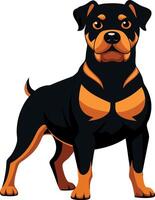 A black and orange dog stands in front of a white background vector