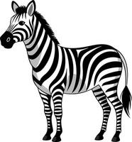 A zebra is standing in a field vector