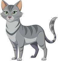A cat with green eyes stands in front of a white background vector