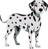 A white and black dog with a black nose and black eyes vector