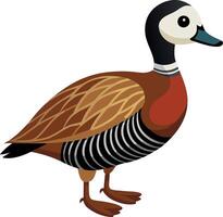 A cartoon duck with a black beak and white feet stands on a white background vector