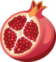 A red pomegranate is sliced open, revealing its juicy, red interior vector