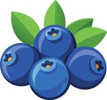 A close up of blue berries with green leaves vector