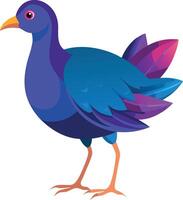 A blue and purple bird with a yellow beak stands on a white background vector