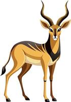 A giraffe with a long neck and horns stands in front of a white background vector