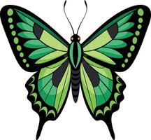 A green butterfly with black spots on its wings vector