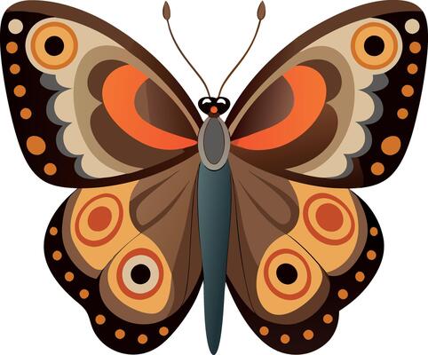A colorful butterfly with black and orange wings