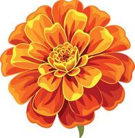 A large orange flower with a yellow center vector