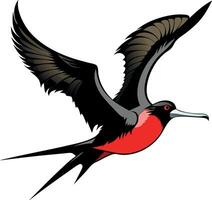 A bird with a red beak and black wings is flying in the air vector