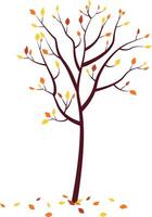 Autumn tree with fallen leaves around vector