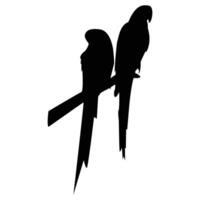 Parrots sitting on a branch silhouette,a white background. vector