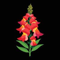 A red and yellow flower on a black background vector