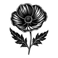 An image of a black and white poppy flower vector