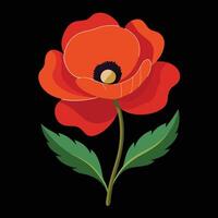 A red poppy flower on a black background vector