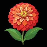 A red flower with green leaves on a black background vector