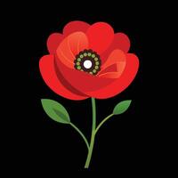 A red poppy flower on a black background vector
