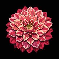 A red flower is shown on a black background vector