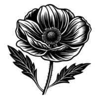 An image of a black and white poppy flower vector