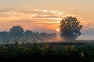 Sunrise silhouette contrasts with sky, creating a tranquil morning scene photo