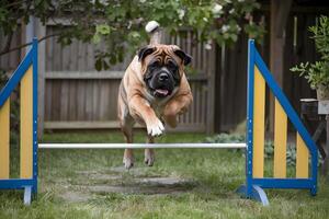 Mastiff leaping over a garden obstacle with strength and agility photo