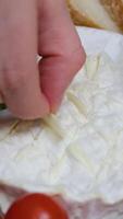 put garlic add to cheese recipe step by step Cooking camembert with croutons in the oven. Add oil. Baked camembert with garlic sauce and spices. Cheese stretches, drips. Homemade brie in the oven. video