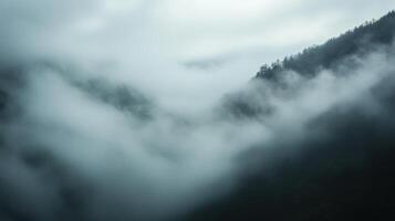 A foggy mountain range with trees in the background photo