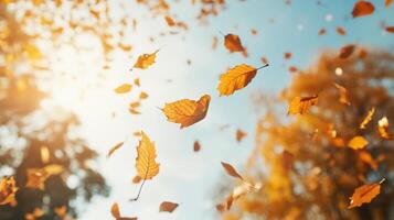A beautiful autumn day with leaves falling from the trees photo