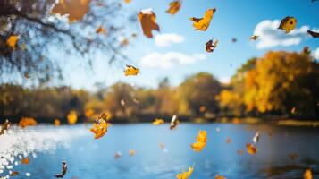 The image captures a beautiful autumn scene with leaves falling from trees photo