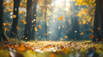 A forest with leaves falling from the trees photo