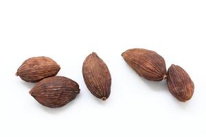 Black cardamom on white background photo