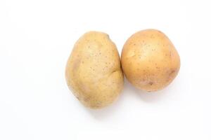 Potato isolate on white background photo
