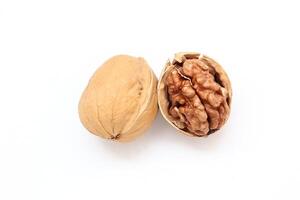 Walnut nut isolate on white background photo